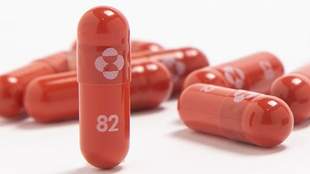 «Молнупіравір»: що відомо про пігулки від COVID-19