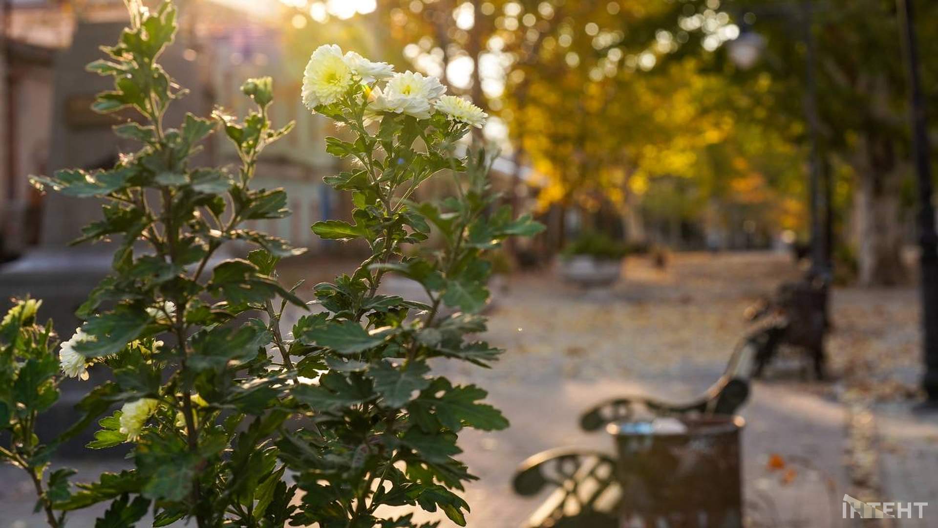 Як живе Херсон: життя міста у фотогалереї до другої річниці деокупації