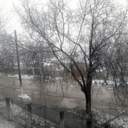 На Одещині пішов квітневий сніг