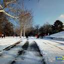 Снег в Одессе: катание на санках и прогулки к морю