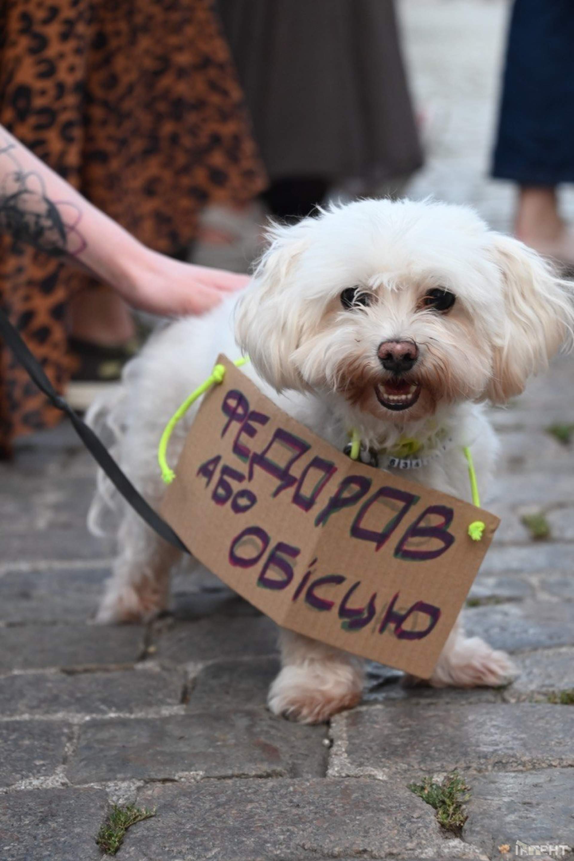 В Одесі в четвертий день протесту через відставку Федорова роздають наколоті апельсини