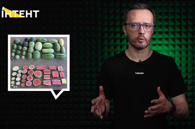 Експерти розповіли як не отруїтись кавунами в Одесі