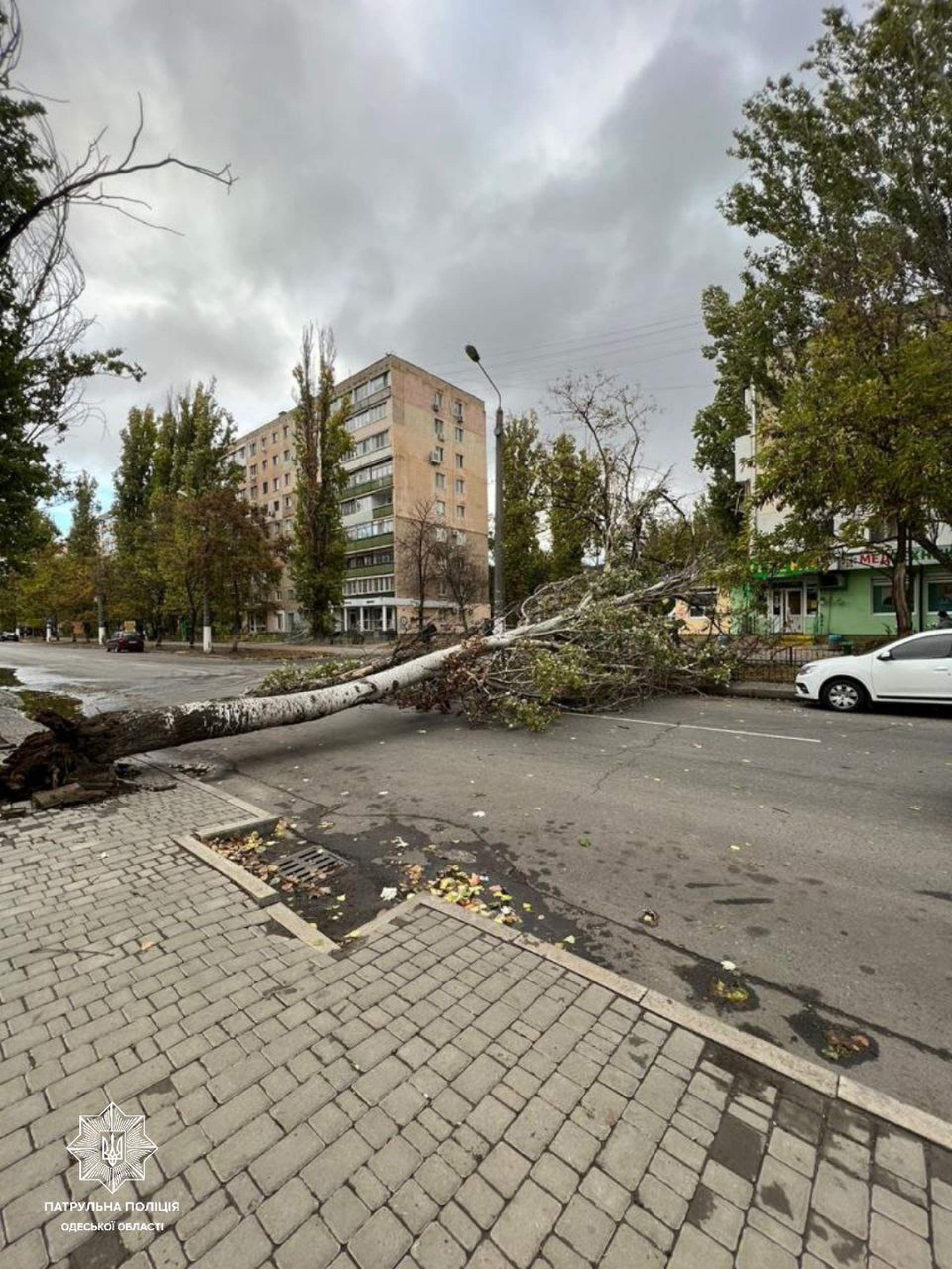 Негода позбавила електроенергії 12 населених пунктів на Одещині