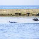 На одеські пляжі прийшла друга воєнна весна