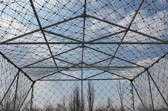 Photo: antidronsitka.com.ua