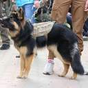 Заходи в центрі Одеси, присвячені подіям 2 травня