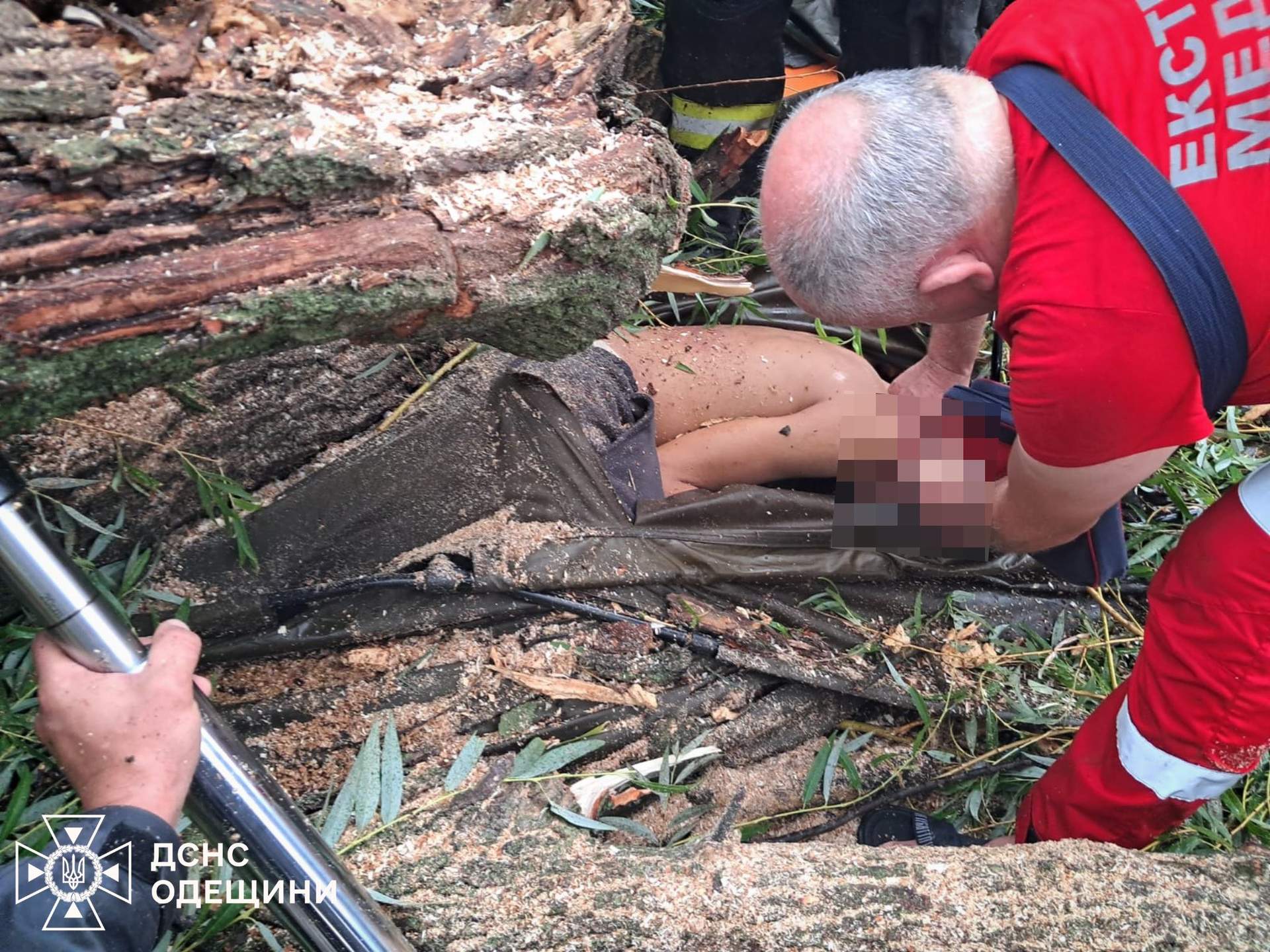 На Одещині впале дерево вбило підлітка та поранило ще чотирьох