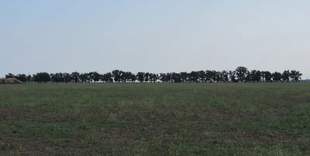 "Oschadbank failed to find buyers for 60 hectares of land