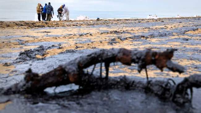 Наслідки розливу мазуту. ФОТО: voicecrimea.com.ua