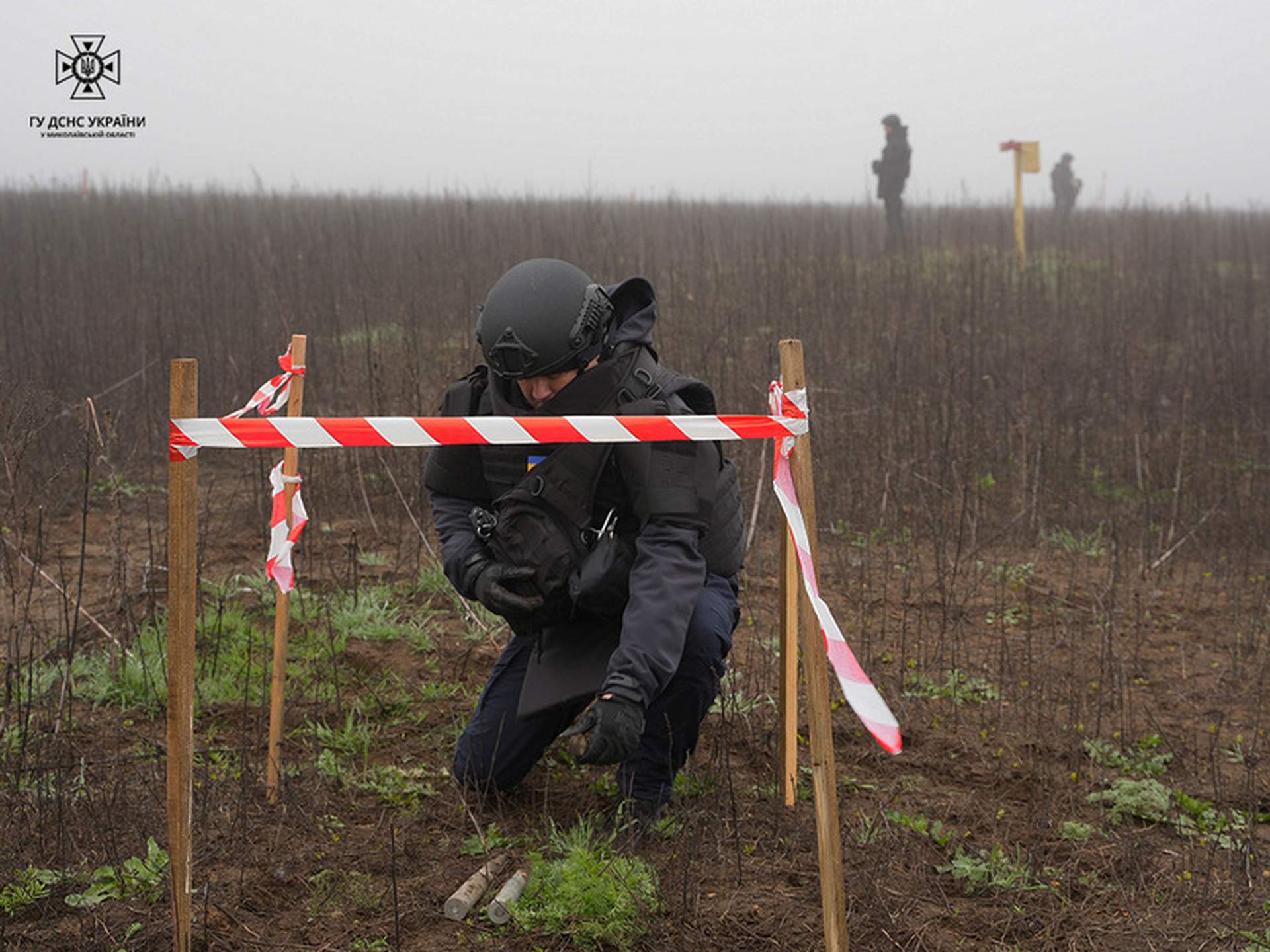 На Миколаївщині розмінували понад 3000 гектарів