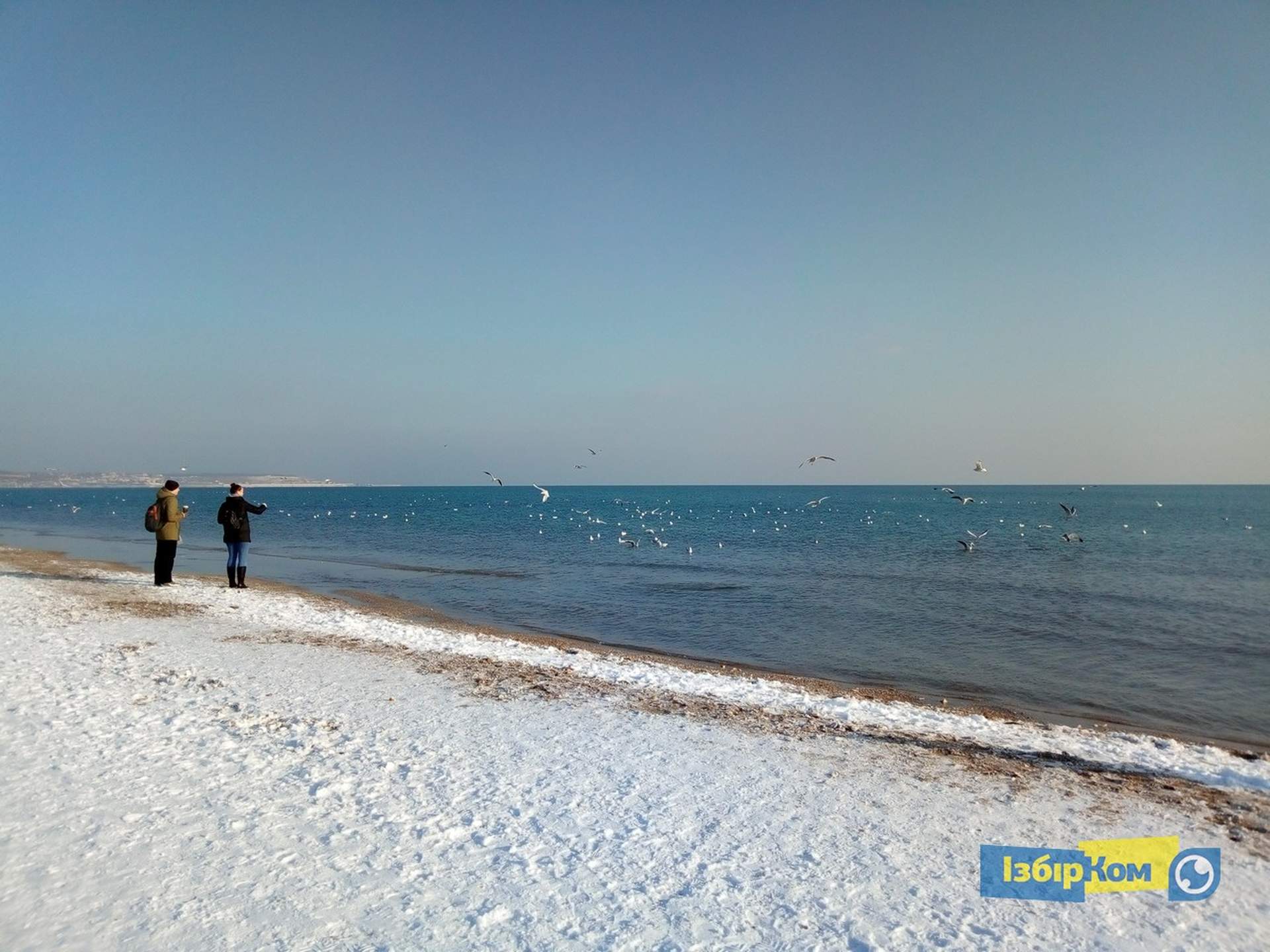 Снег в Одессе: катание на санках и прогулки к морю