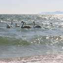 Первые выходные весны одесситы проводят у моря