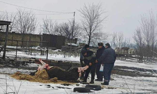 ФОТО: Яна Титаренко/Facebook