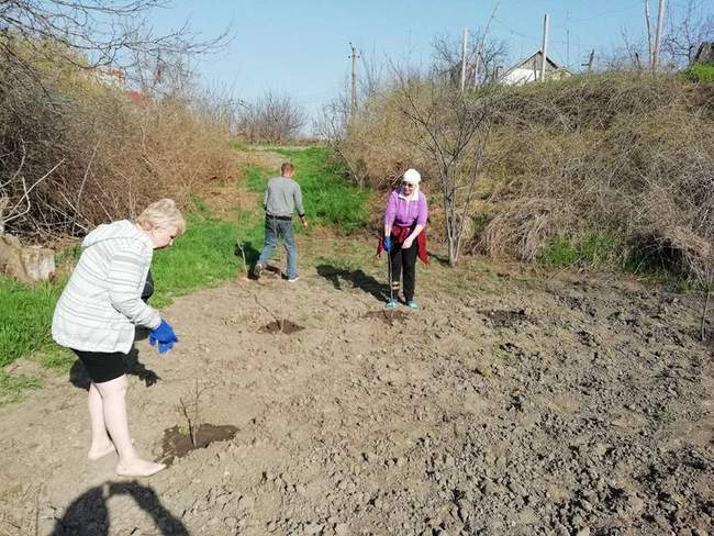 У Доброславі розширюють парки та облаштовують резиденцію святих Миколаїв