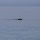 На одеські пляжі прийшла друга воєнна весна