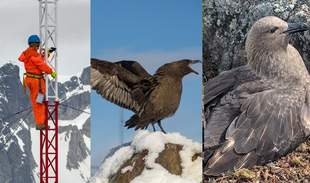 Украинские полярники со станции "Академик Вернадский" установили рекорд