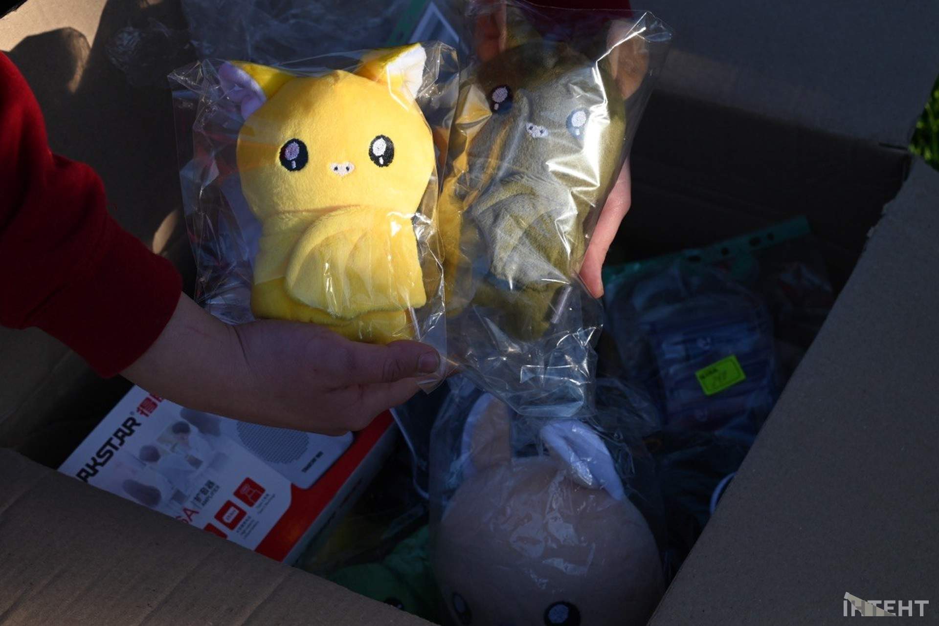 В одеському парку вперше випустили реабілітованих кажанів