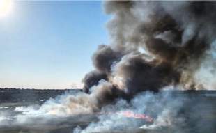 A pensioner damaged the environment of Odesa by 97 million