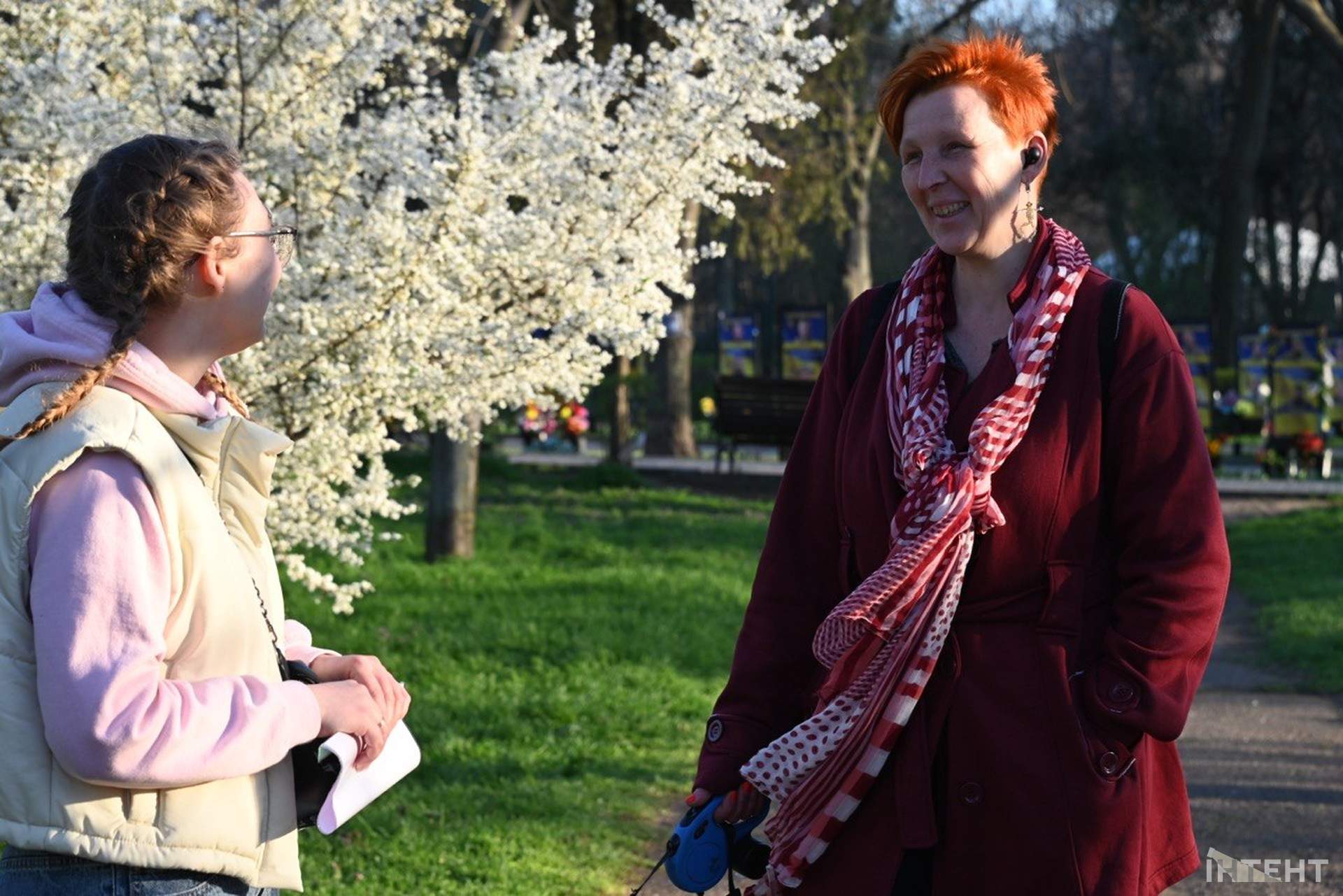 В одеському парку вперше випустили реабілітованих кажанів