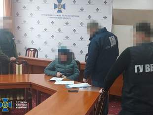 СБУ викрила свою посадовицю, яка негативно реагувала на звільнення Зміїного