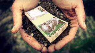 Предприниматель из Николаевской области без разрешения засеял земли ВСУ на 95 миллионов