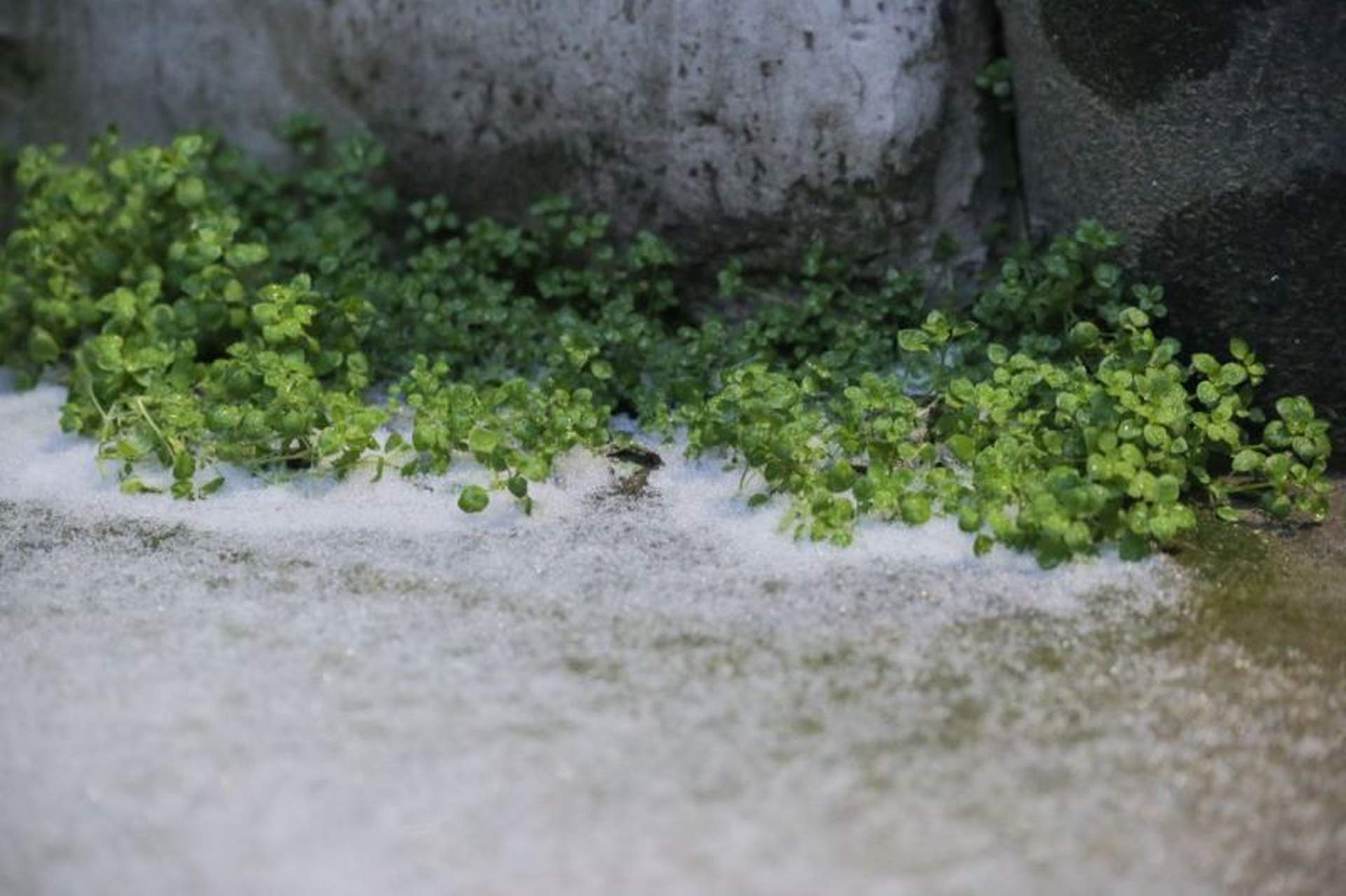 В Одесу завітала зима