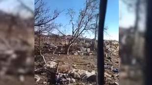 Журналісти отримали ексклюзивні кадри з Кринок на Херсонщині