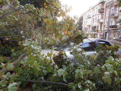 Дождь и ветер вывели из строя одесские электросети