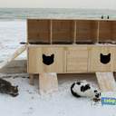 Как усатые жители Лузановки справляли новоселье