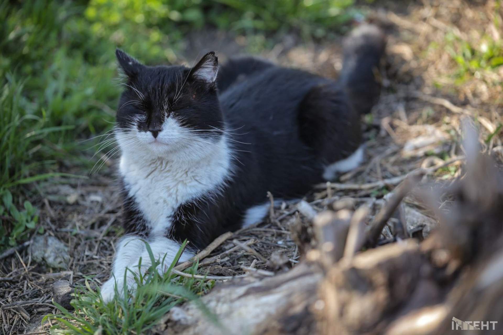 На одеські пляжі прийшла друга воєнна весна