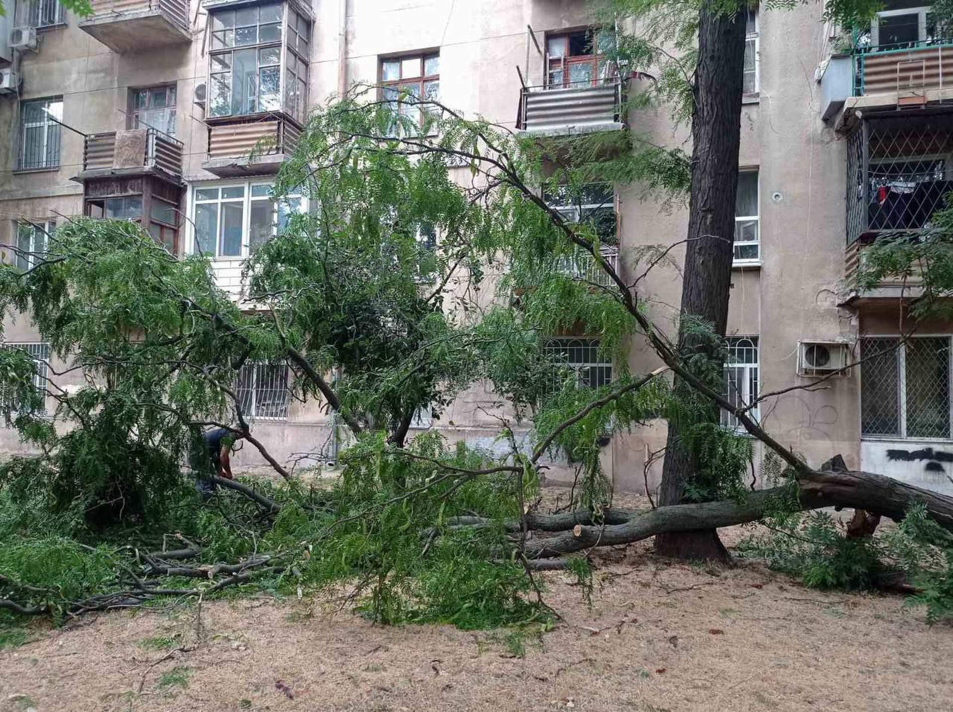 В Одесі вітер валив дерева на автівки та кіоски