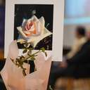 Дискусії, плагіат і 300 тисяч на конкурс: чим закінчились обговорення пам’ятника Лесі Українці