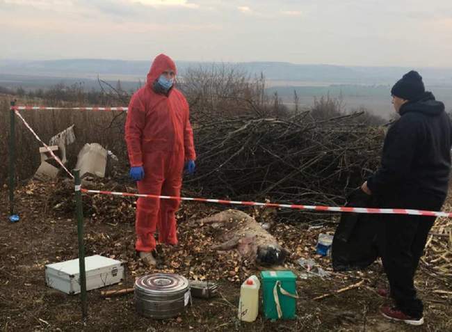 Фото: Головне управління Держпродспоживслужби в Миколаївській області