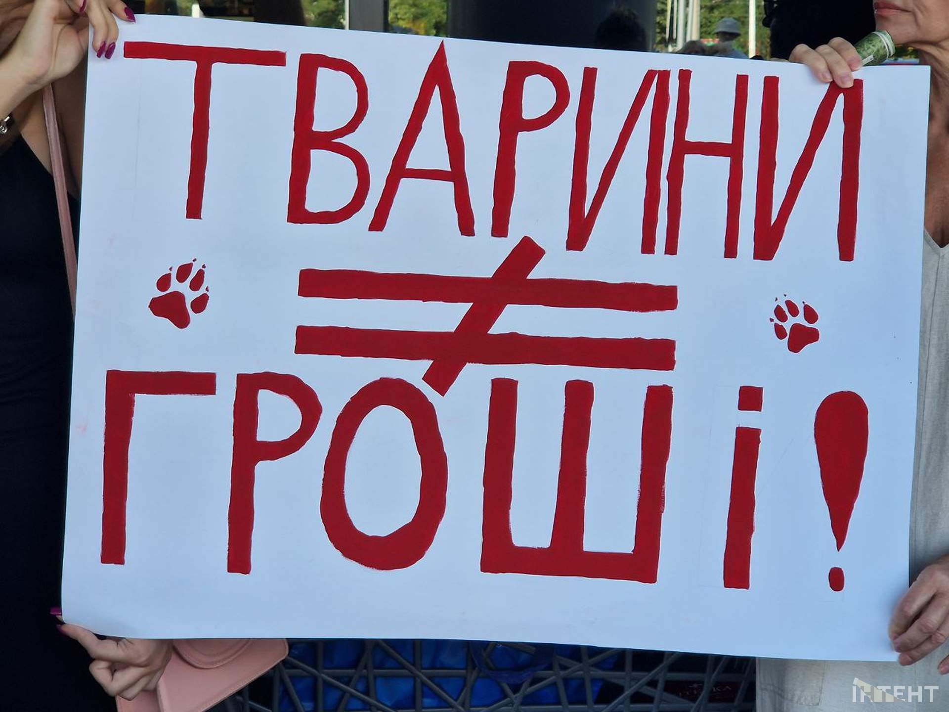 Одесити влаштували акцію протесту з вимогою врятувати єнота з контактного зоопарку