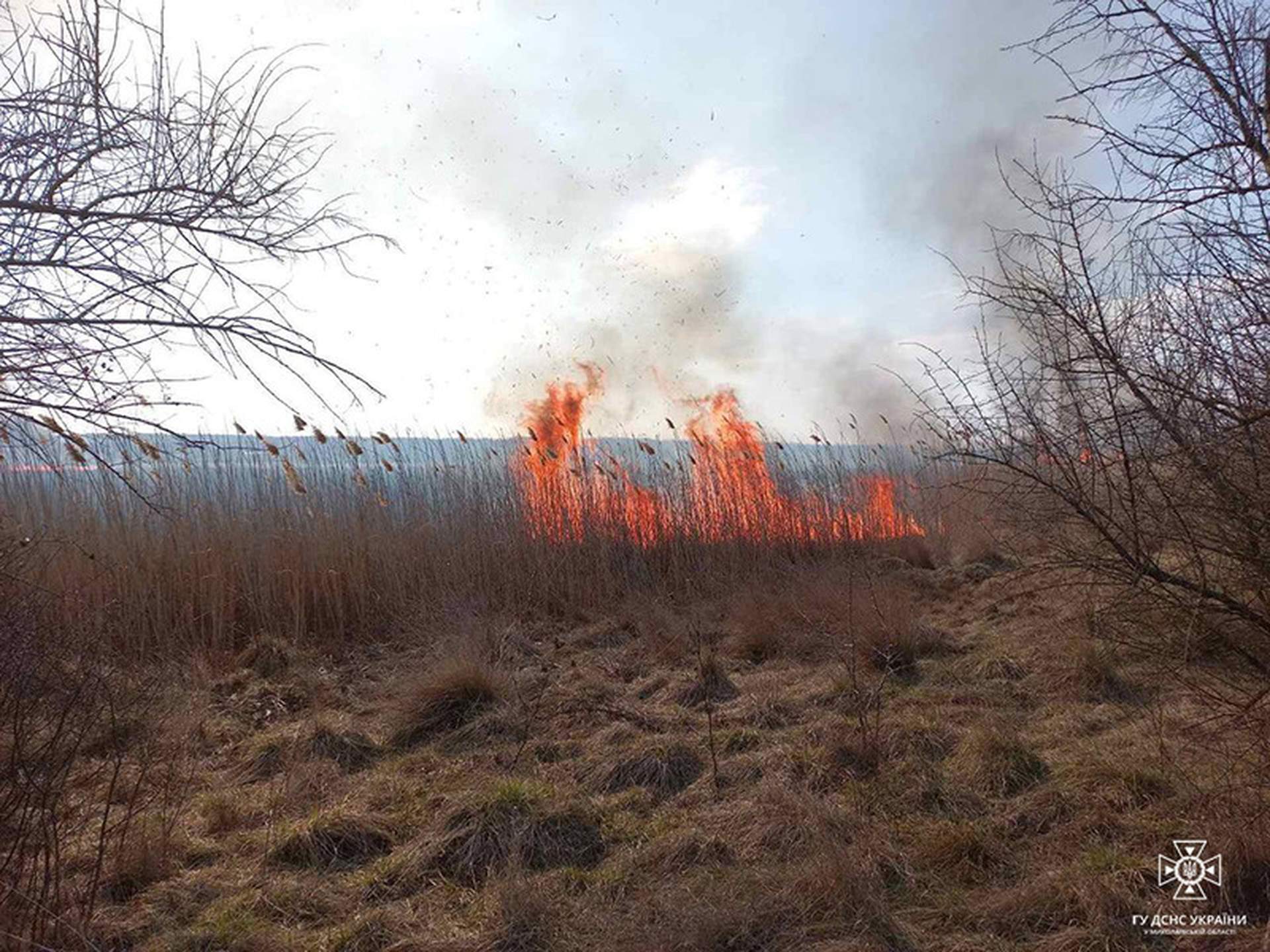 В Очакові під час пожежі загинула людина
