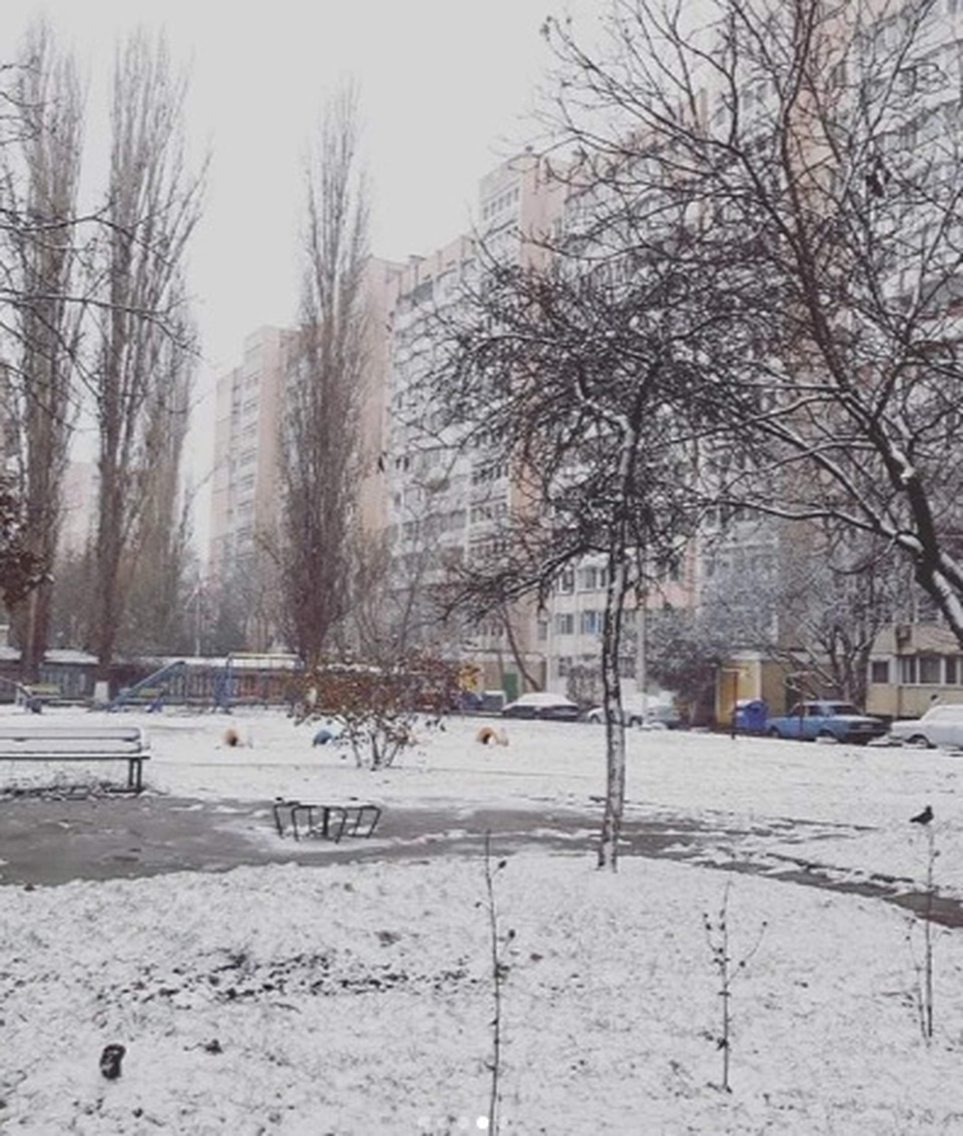 Декабрьский снег в соцсетях Одессы и области