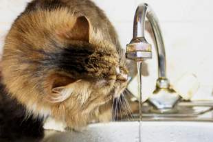 Водопровідну воду в Миколаєві майже довели до рівня питної