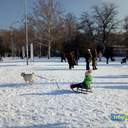 Снег в Одессе: катание на санках и прогулки к морю