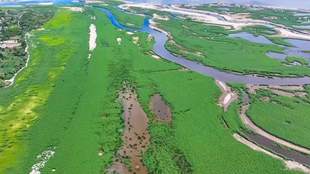 На Херсонщині замість Каховського водосховища запропонували створити заповідник