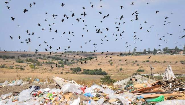 Миколаївський полігон. ФОТО: nikvesti.com
