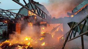 Ukrainian troops destroy five enemy drones in Mykolaiv region