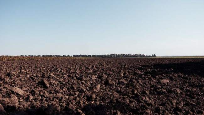ФОТО: SuperAgronom.com