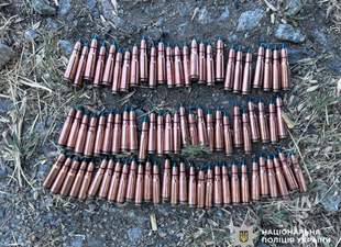 На Миколаївщині викрили чоловіка на спробі продажу боєприпасів