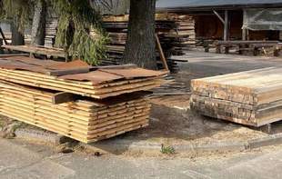 В Одесской области разоблачили схему нелегального вывоза леса в Европу