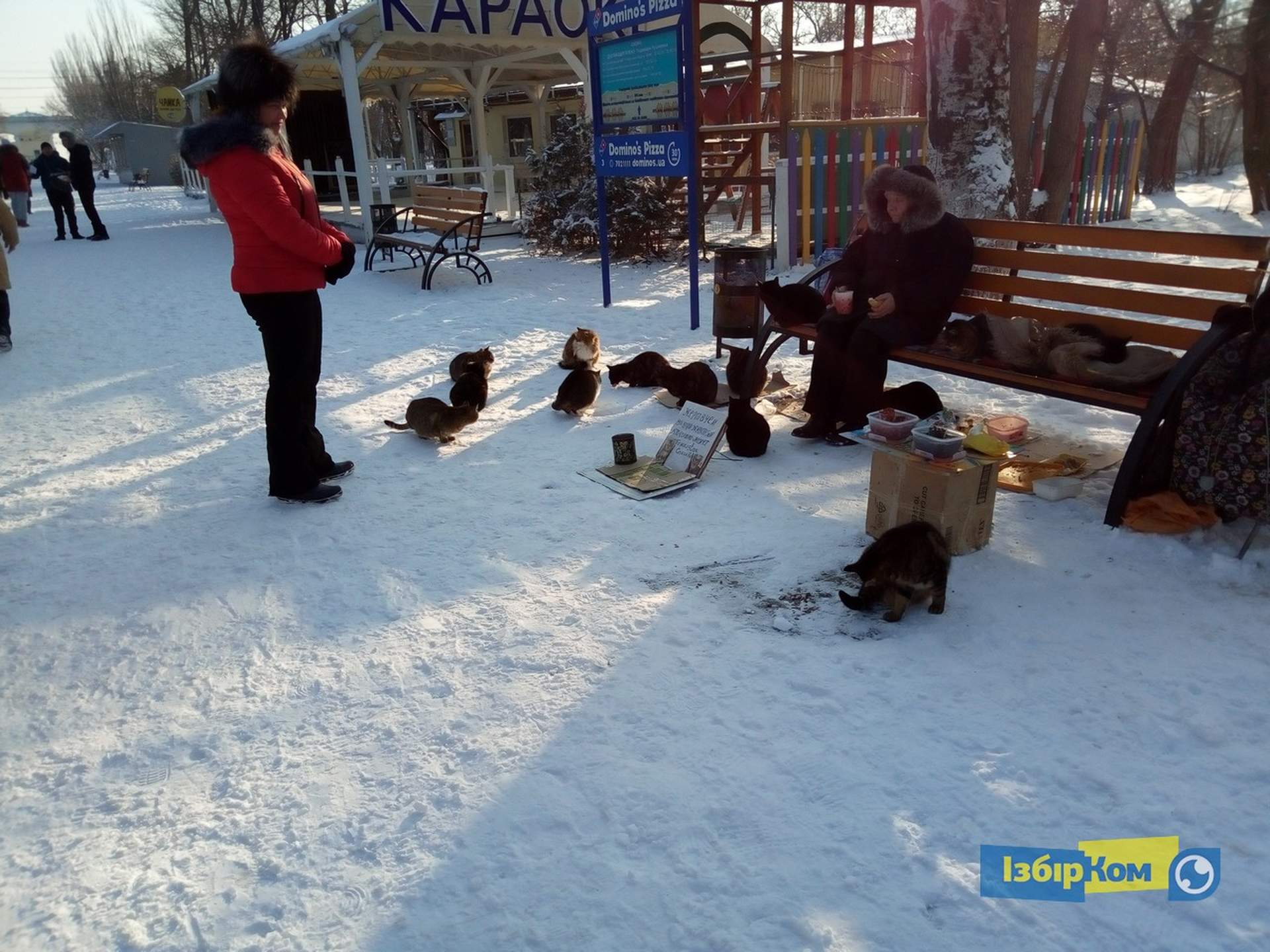 Снег в Одессе: катание на санках и прогулки к морю