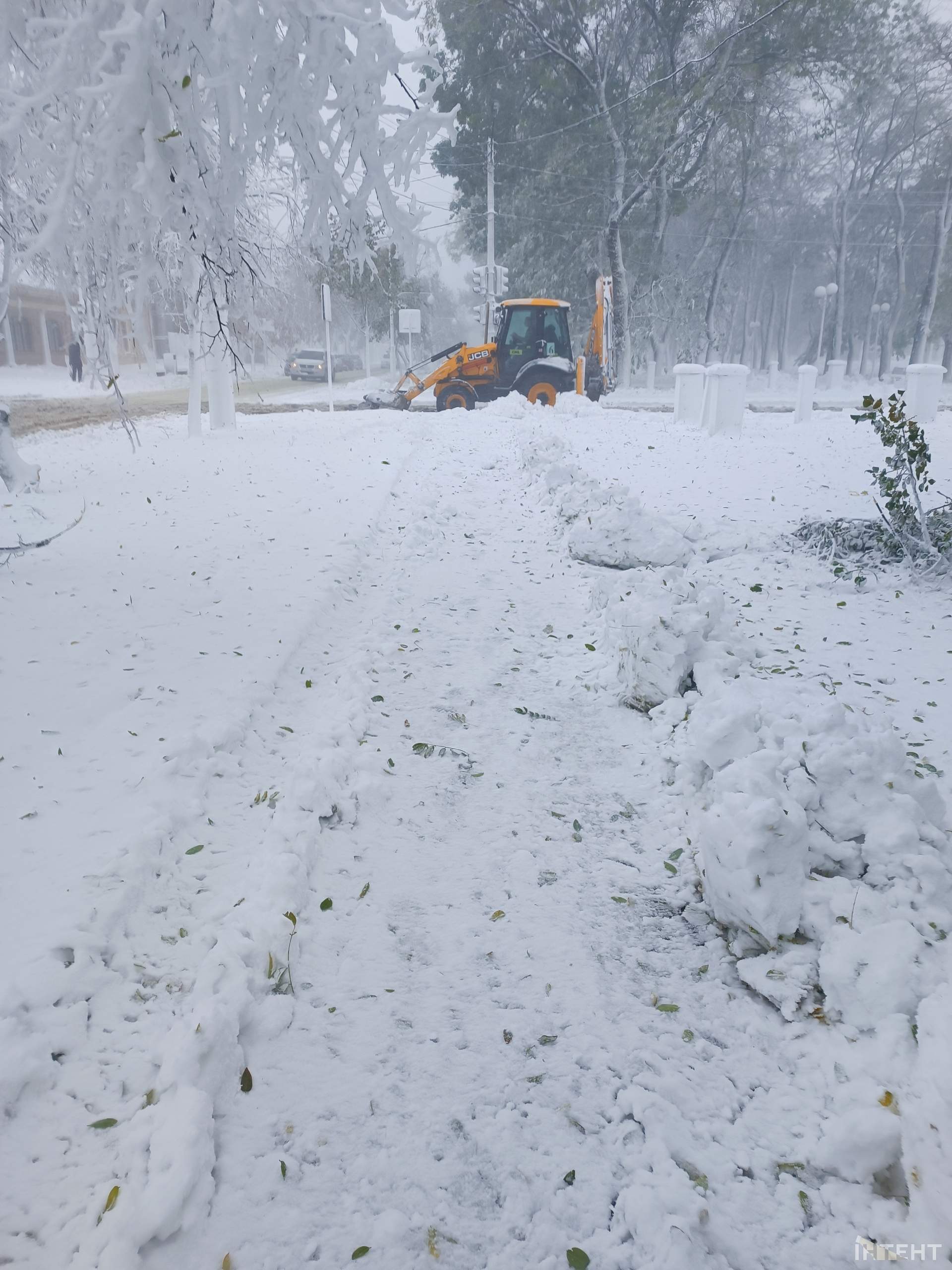 Кореспондентка Інтента прогулялася засніженим Ізмаїлом