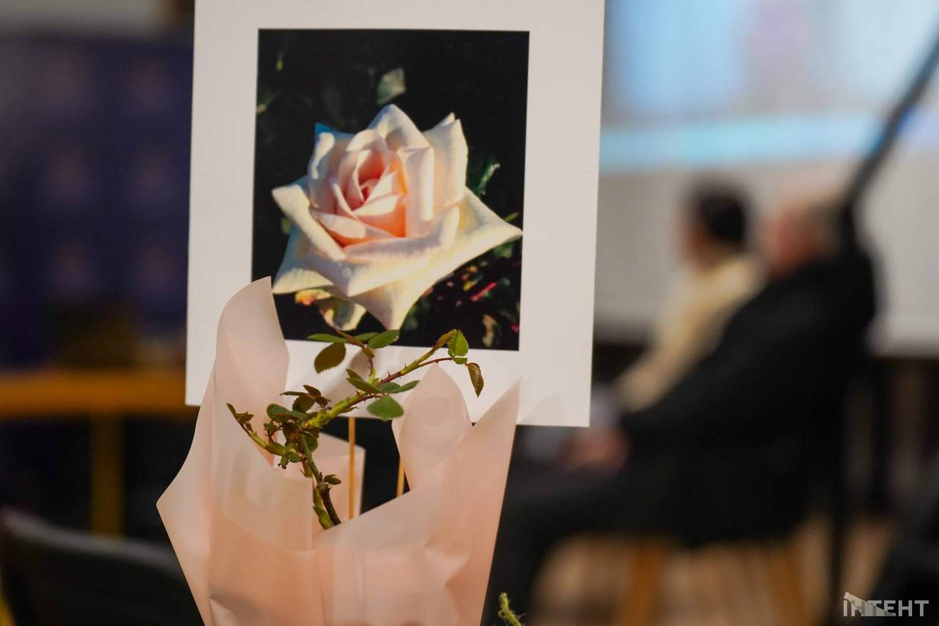 Дискусії, плагіат і 300 тисяч на конкурс: чим закінчились обговорення пам’ятника Лесі Українці