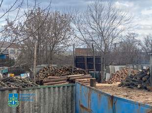 "Чорні лісоруби" Миколаївщини завдали збитків державі майже на пів мільйона