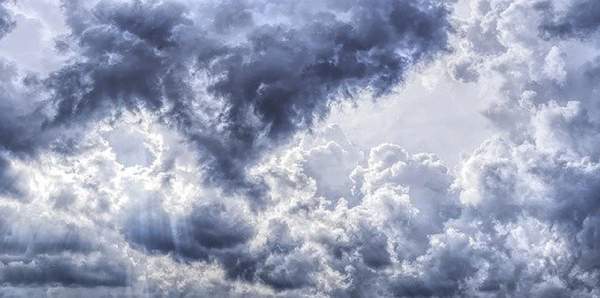 Фото: pixabay