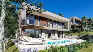 Депутаты Николаевской облсовета задекларировали имения и земли